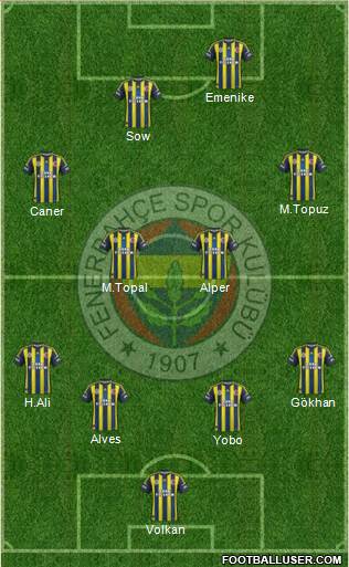 Fenerbahçe SK Formation 2013