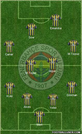 Fenerbahçe SK Formation 2013