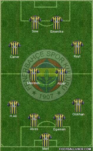 Fenerbahçe SK Formation 2013