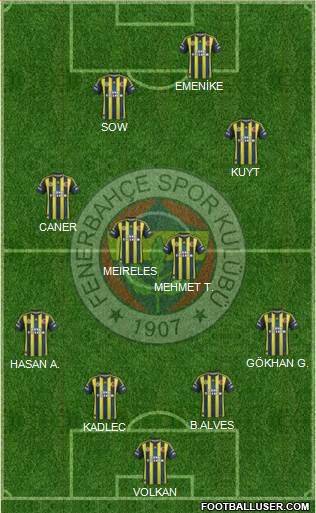 Fenerbahçe SK Formation 2013