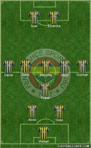 Fenerbahçe SK Formation 2013