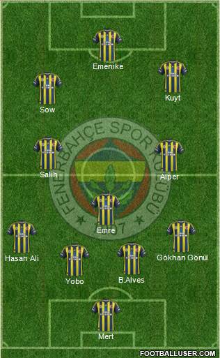 Fenerbahçe SK Formation 2013