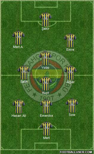 Fenerbahçe SK Formation 2013