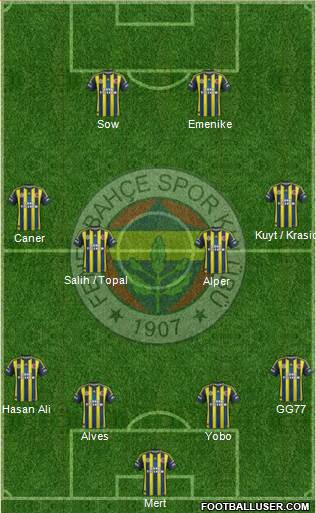 Fenerbahçe SK Formation 2013