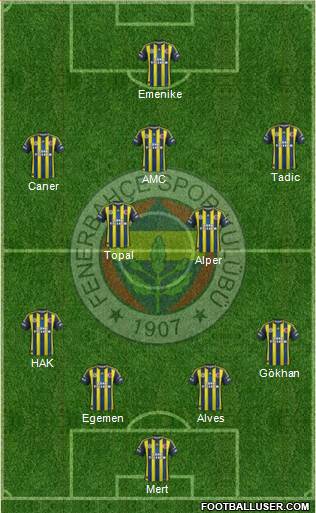 Fenerbahçe SK Formation 2013