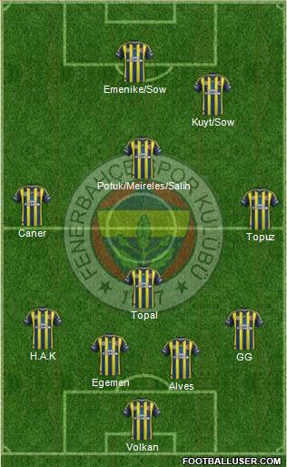 Fenerbahçe SK Formation 2013