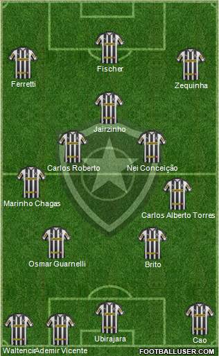 Botafogo FR Formation 2013