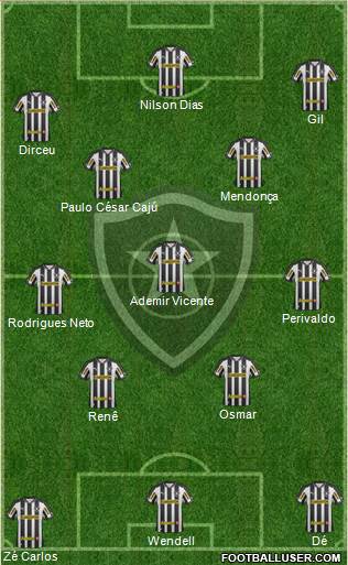 Botafogo FR Formation 2013