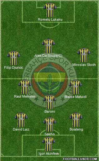 Fenerbahçe SK Formation 2013