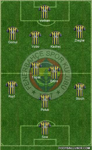 Fenerbahçe SK Formation 2013