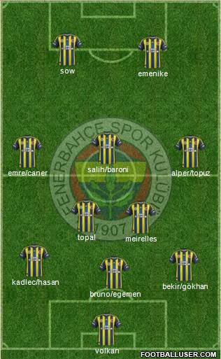 Fenerbahçe SK Formation 2013