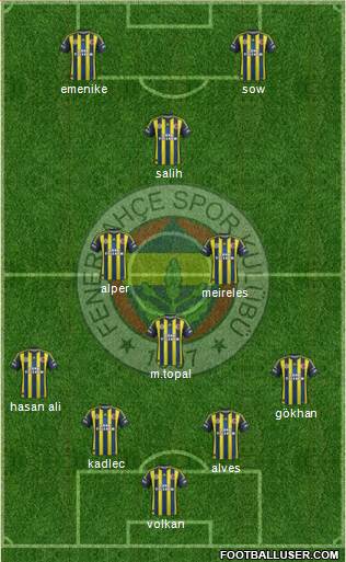 Fenerbahçe SK Formation 2013