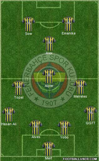 Fenerbahçe SK Formation 2013