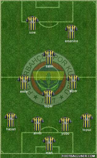 Fenerbahçe SK Formation 2013