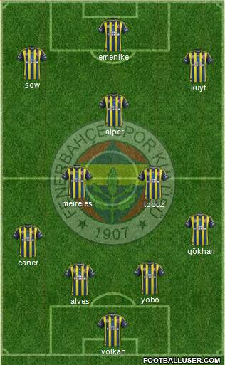 Fenerbahçe SK Formation 2013