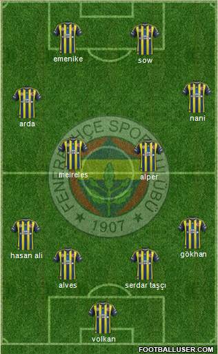 Fenerbahçe SK Formation 2013