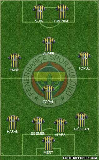 Fenerbahçe SK Formation 2013