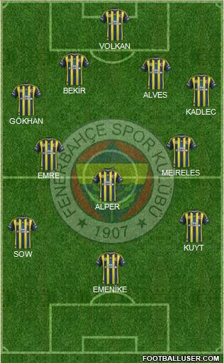 Fenerbahçe SK Formation 2013