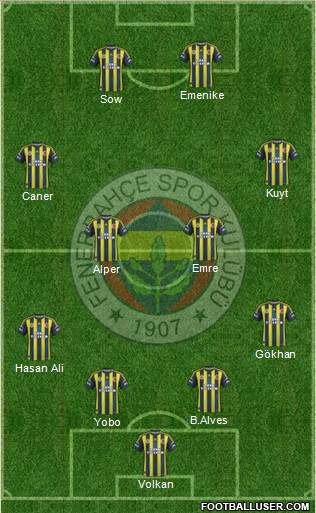 Fenerbahçe SK Formation 2013