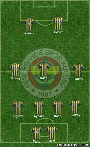 Fenerbahçe SK Formation 2013