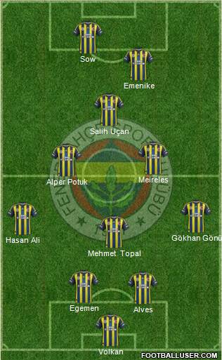 Fenerbahçe SK Formation 2013