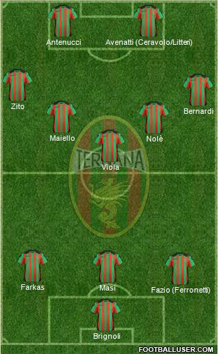 Ternana Formation 2013