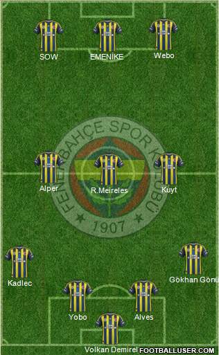 Fenerbahçe SK Formation 2013