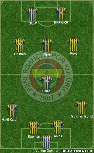 Fenerbahçe SK Formation 2013