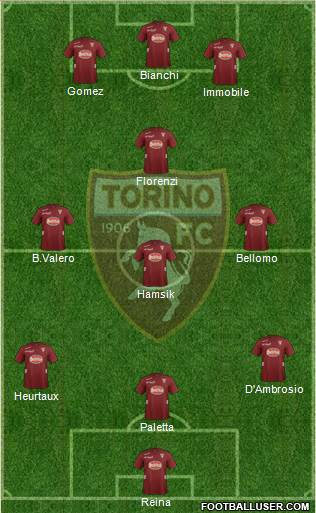 Torino Formation 2013