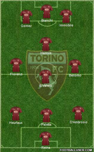 Torino Formation 2013