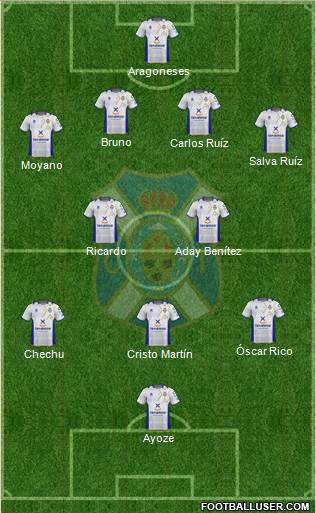 C.D. Tenerife S.A.D. Formation 2013