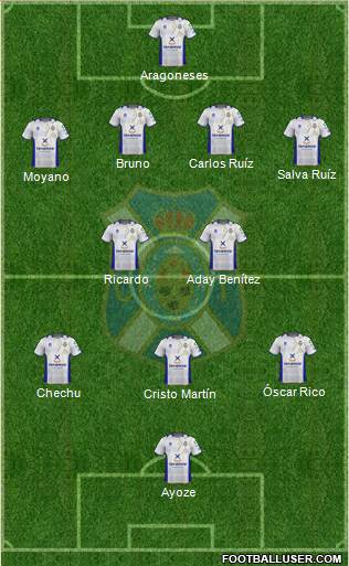 C.D. Tenerife S.A.D. Formation 2013