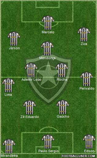 Botafogo FR Formation 2013