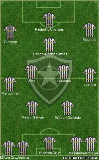 Botafogo FR Formation 2013