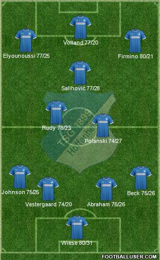 TSG 1899 Hoffenheim Formation 2013