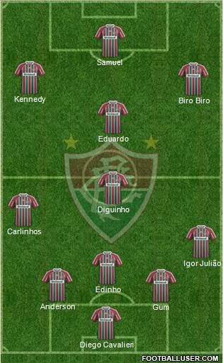 Fluminense FC Formation 2013