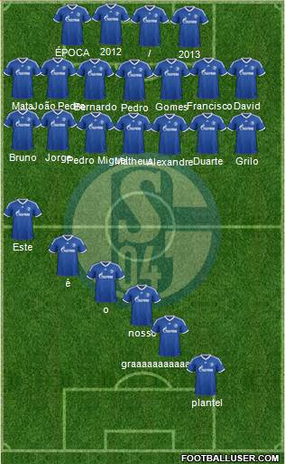 FC Schalke 04 Formation 2013