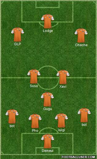 Houston Dynamo Formation 2013