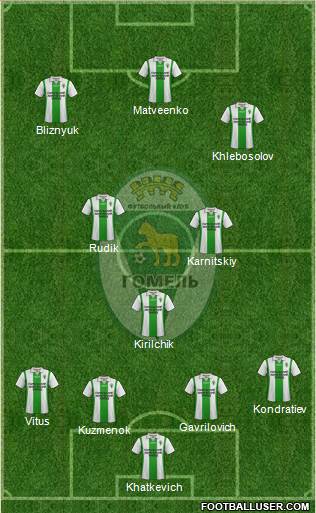 FC Gomel Formation 2013