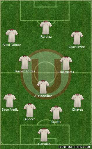 C Universitario D Formation 2013