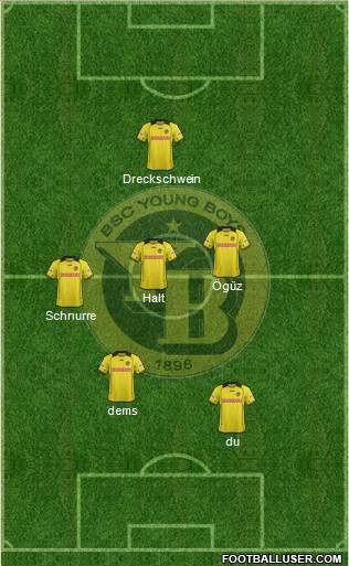 BSC Young Boys Formation 2013