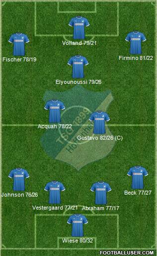 TSG 1899 Hoffenheim Formation 2013