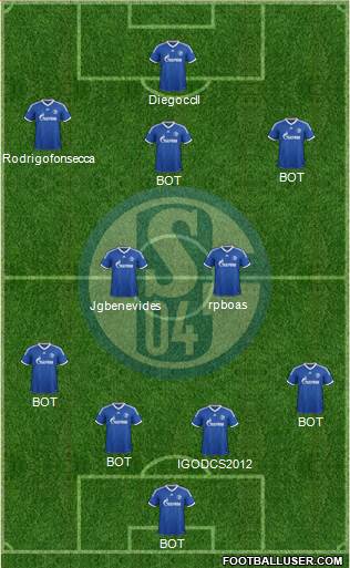 FC Schalke 04 Formation 2013