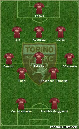 Torino Formation 2013