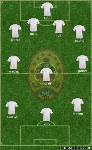 SD Aucas Formation 2013