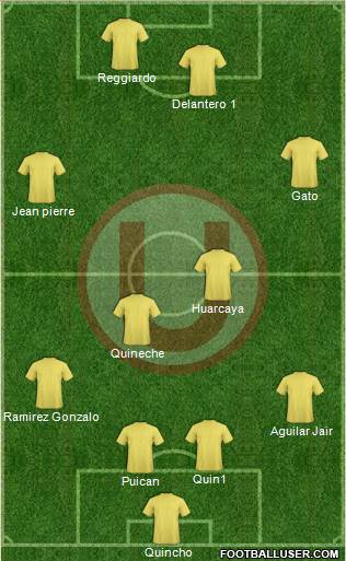 C Universitario D Formation 2013