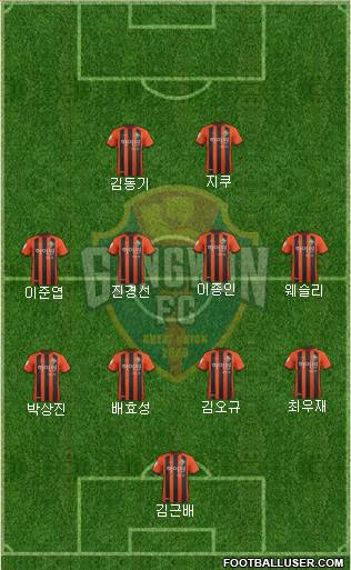 Gangwon FC Formation 2013