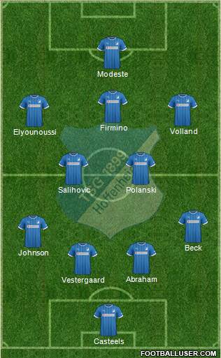 TSG 1899 Hoffenheim Formation 2013