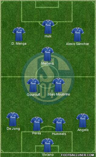 FC Schalke 04 Formation 2013