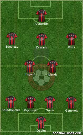 OGC Nice Côte d'Azur Formation 2013